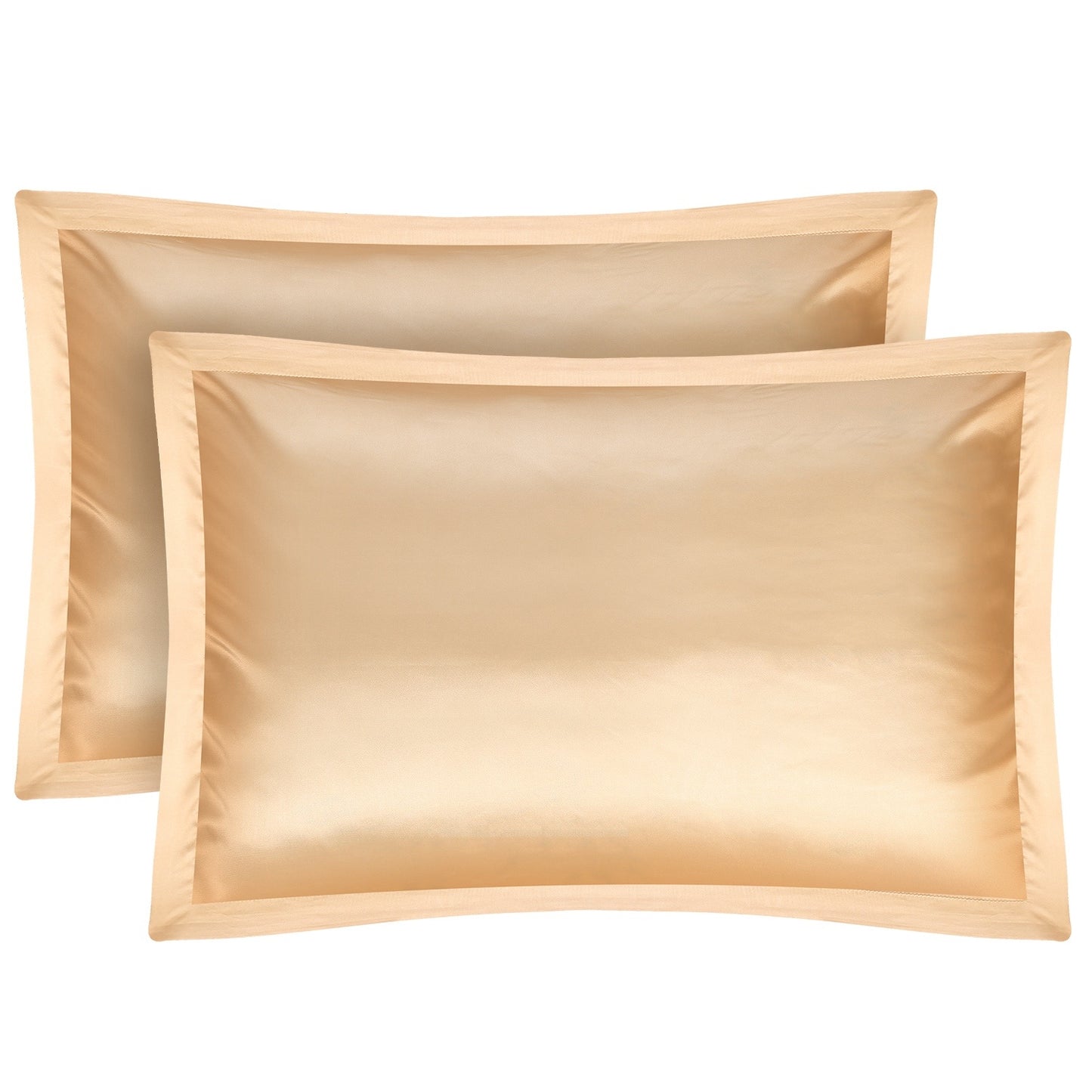 Hypoallergenic 2 Pack Soft Silky Satin Pillow Case - Curly Luxe