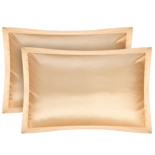 Hypoallergenic 2 Pack Soft Silky Satin Pillow Case - Curly Luxe